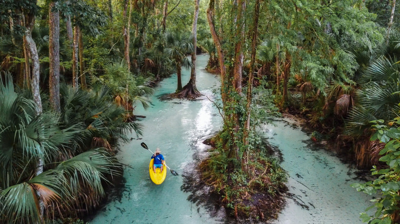 Kayaker on clear water surrounded by trees