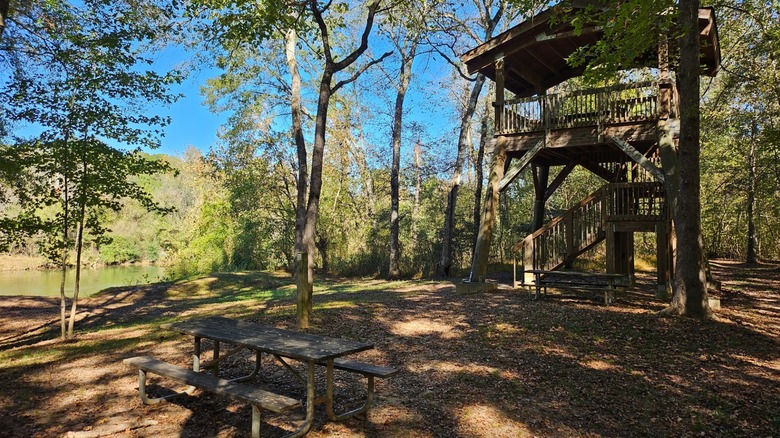 Observation tower by the water in Chattahoochee Bend State Park