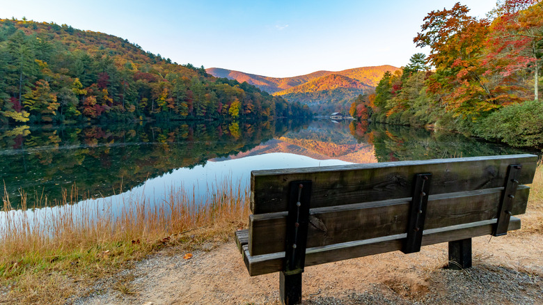 Empty bench overlooking Georgia's Vogel State Park