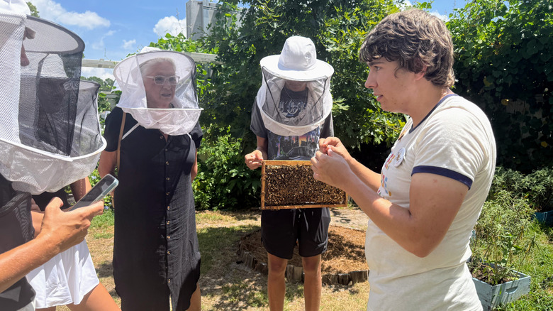Tourists in bee vails participating in the Bee Garden Tour