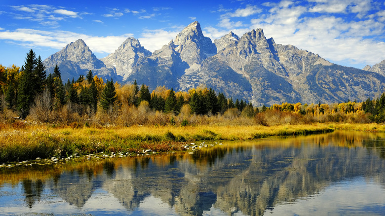 The Teton mountains rise above a river