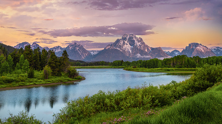 The famous shot of the Tetons from Oxbow Bend