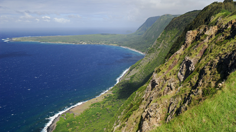 Overlooking the worlds largest sea cliffs in Hawaii