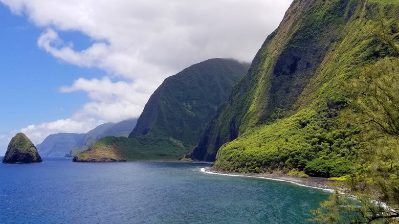 The worlds largest sea cliffs in Hawaii