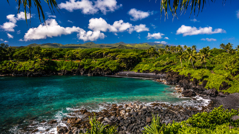 Wai'Anapanapa State Park along Hana Highway on Maui, Hawaii.