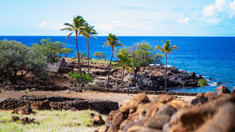 View of Lapakahi State Historical Park on a clear day with North Pacific Ocean in the background