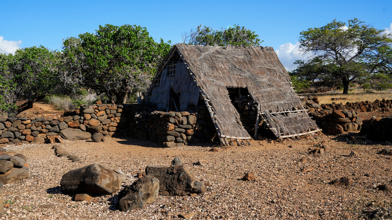 A restored ancient Hawaiian hale surrounded by lava stone walls and trees on a sunny day in Lapakahi State Historical Park