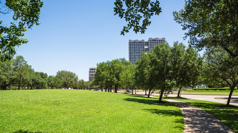 park with lots of trees in MIdtown