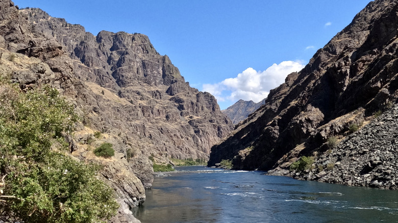 The Snake River running through Hells Canyon