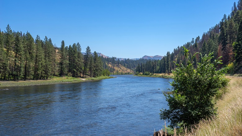 the picturesque Clearwater River in North Central Idaho