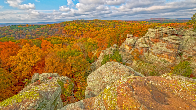 Vibrant fall colors at a scenic overlook in Shawnee National Forest