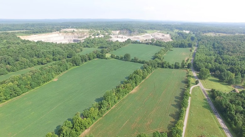 View of Golconda's fields and trees from above