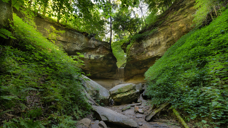 A ravine with overhangs covered in moss at Turkey Run State Park, Indiana