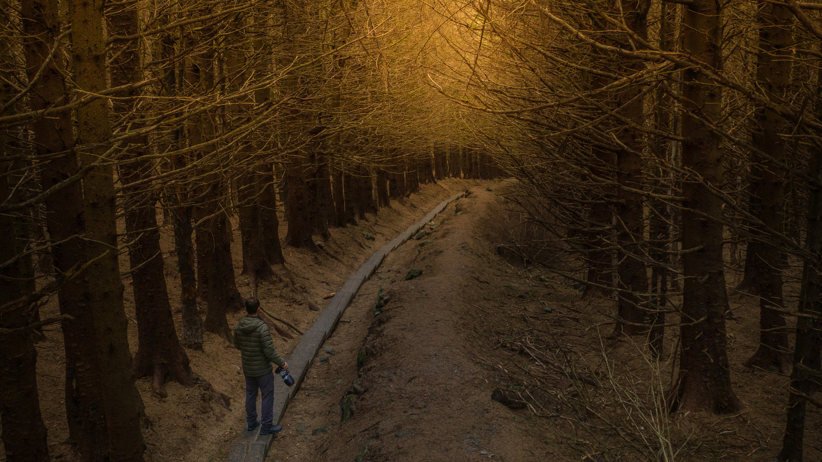 One Of Ireland's 'Most Magical Places' Is A Fairytale Stroll On A ...