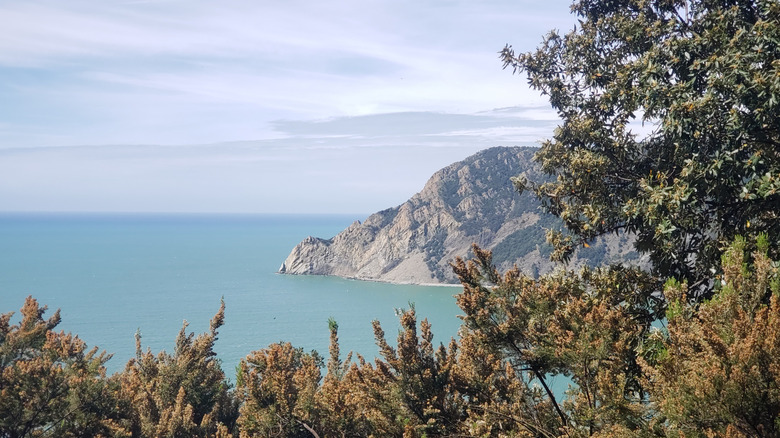 View of Ligurian coastline from the Sentiero Azzurro