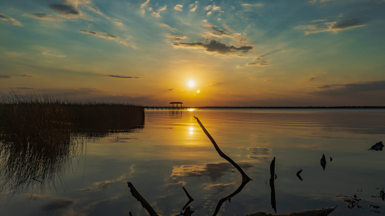 A sunset shot over the banks of the St. Johns River in Mandarin
