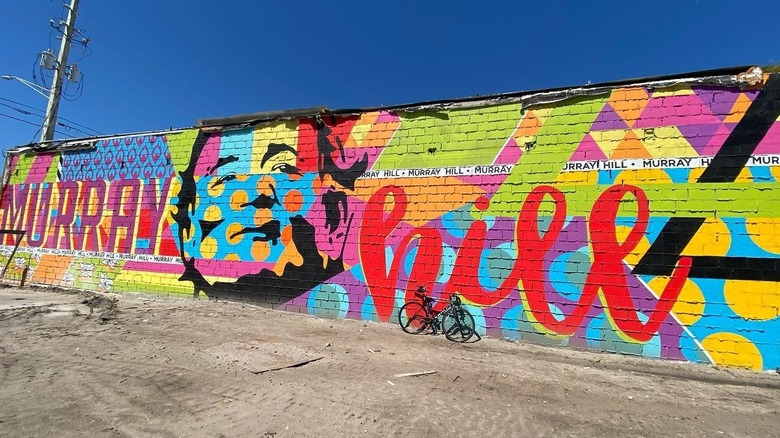 Colorful Murray Hill mural depicting Bill Murray's face