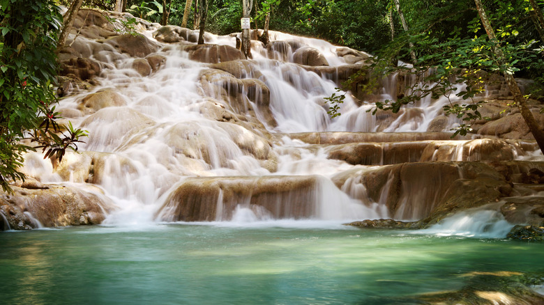 A natural pool at Dunn's River Falls