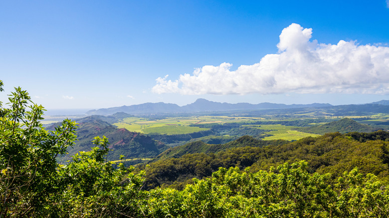 View from the top of the Sleeping Giant trail, Kauai, Hawaii