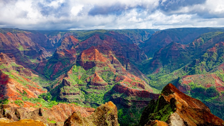 View of Waimea Canyon