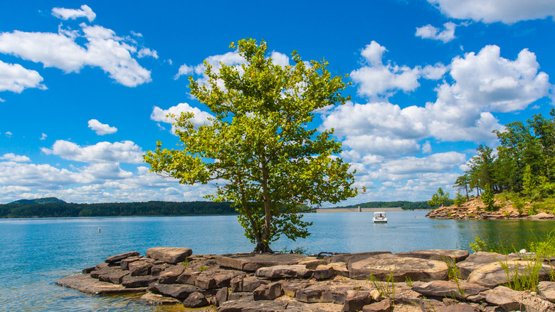 Kentucky's Cave Run Lake