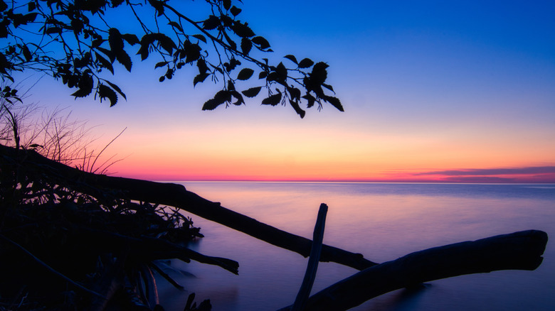 Freeport Beach at dusk with driftwood.