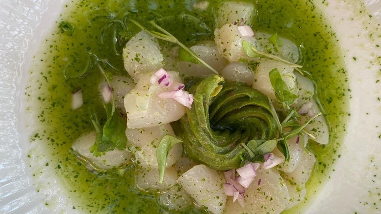 Green seafood dish served at Holbox