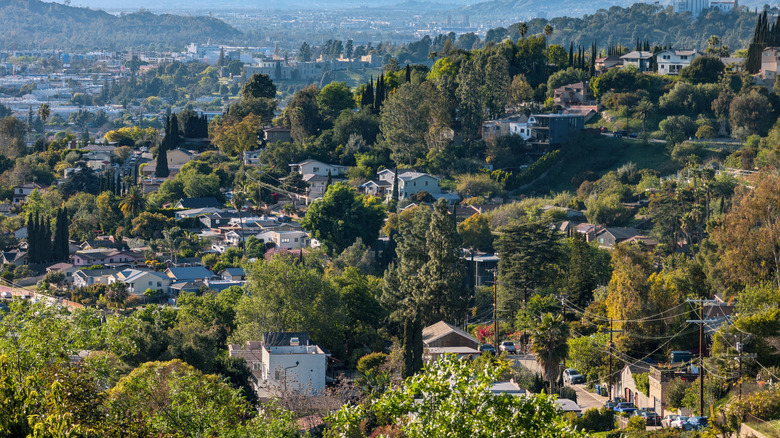 An overview of Glassell Park