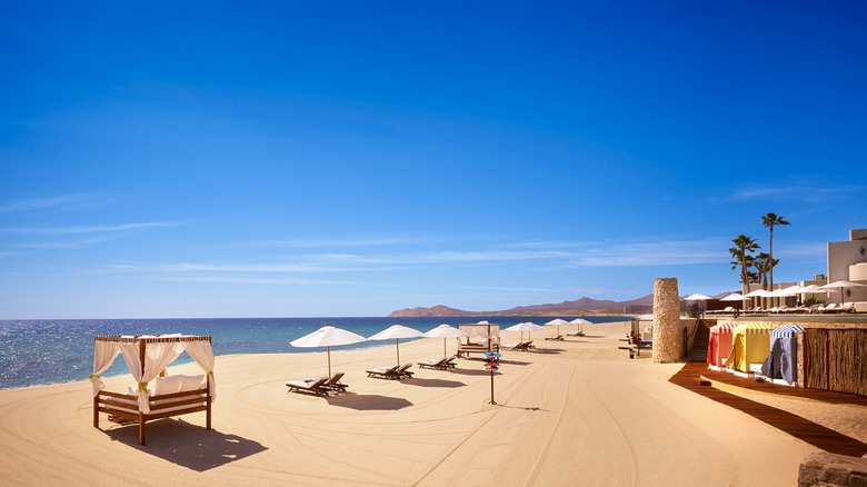 View of the beach at Las Ventanas lined with loungers