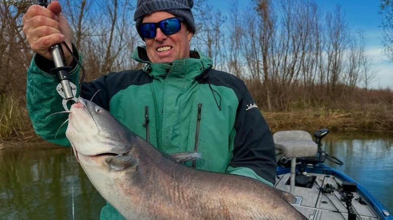 A fisherman and his catfish catch in a Plaquemines Parish, Louisiana marsh.
