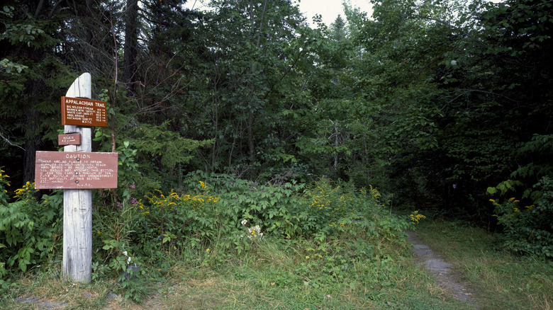 Signs along the Appalachian Trail in Monson, Maine