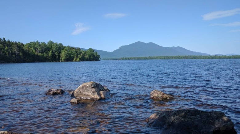 Boulder peek out of the water from Flagstaff Lake looking over rippling water with Bigelow Mountain in the background under a blue sky.