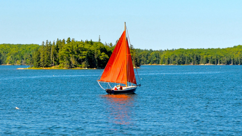 A red sailboat on Penobscot Bay in Maine with spruce forest in the background