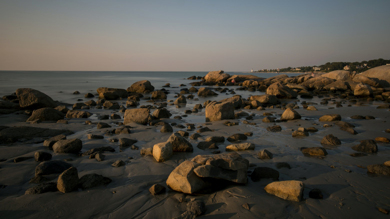 A rocky outcrop at Wingaersheek Beach