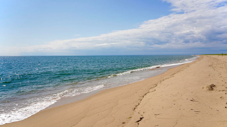 An empty beach on Chappaquiddick