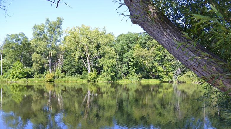 View of the Rogue River in Michigan