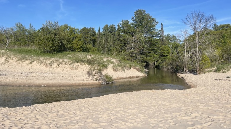 A view of Otter Creek from Esch Road Beach