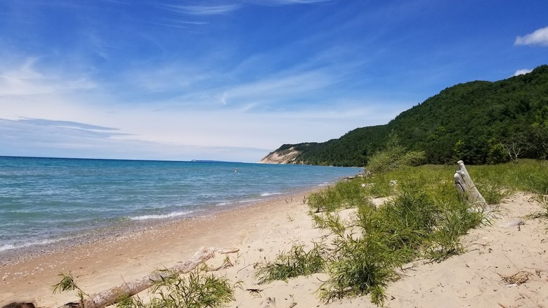 A view of Esch Road Beach, showing sand and water with forests and sand dunes in the distance.