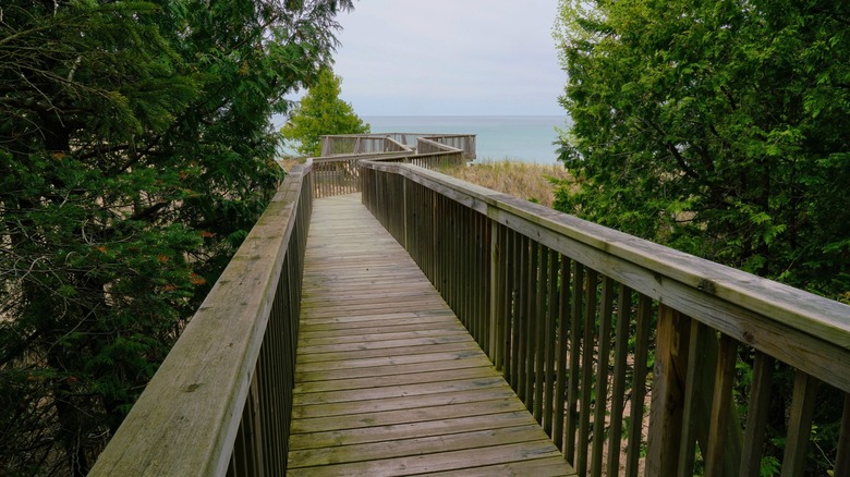 A boardwalk leads to Lake Michigan on a trail at Thorne Swift Nature Preserve