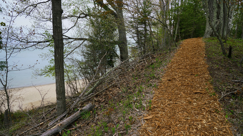 A well maintained lakeside trail at Thorne Swift Nature Preserve