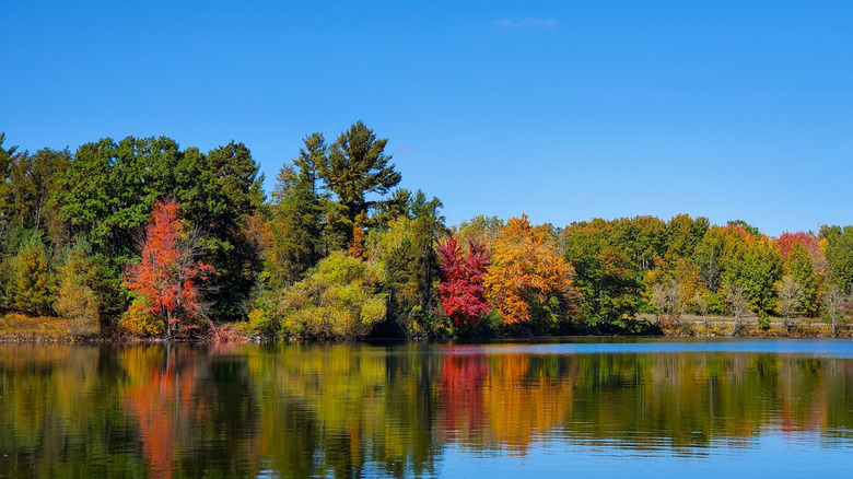 Lake in Iron Mountain, Michigan, surrounded by trees