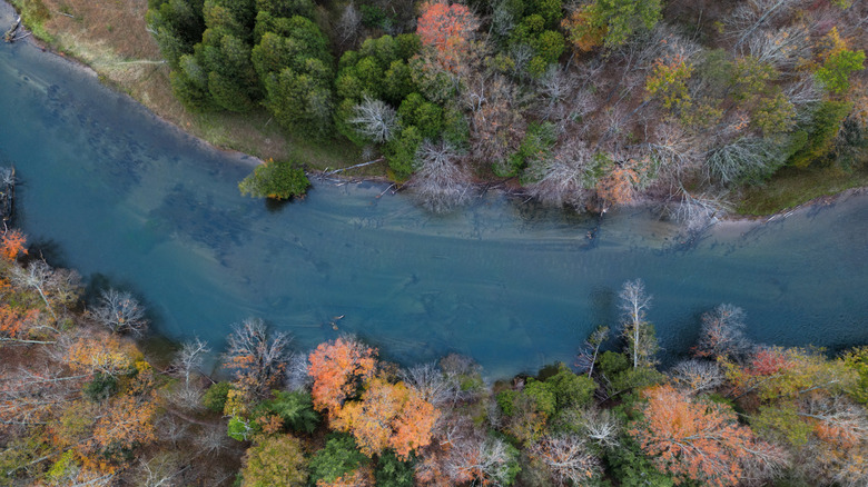 The Manistee River along the Manistee River Loop trail from above