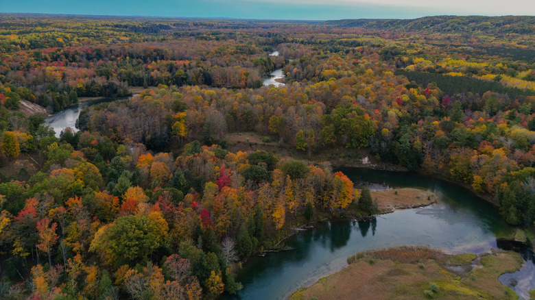 The Manistee River Loop trail area in Michigan's Huron-Manistee National Forests