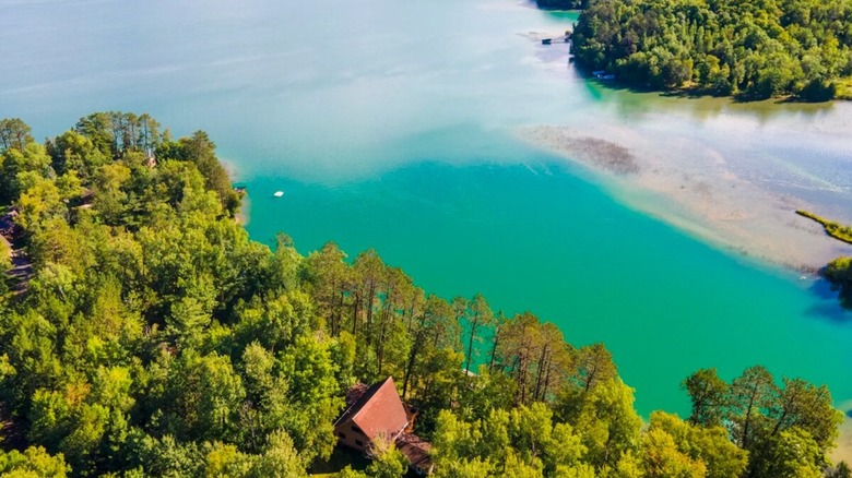Turquoise water near shoreline with trees at Deer Lake in Minnesota