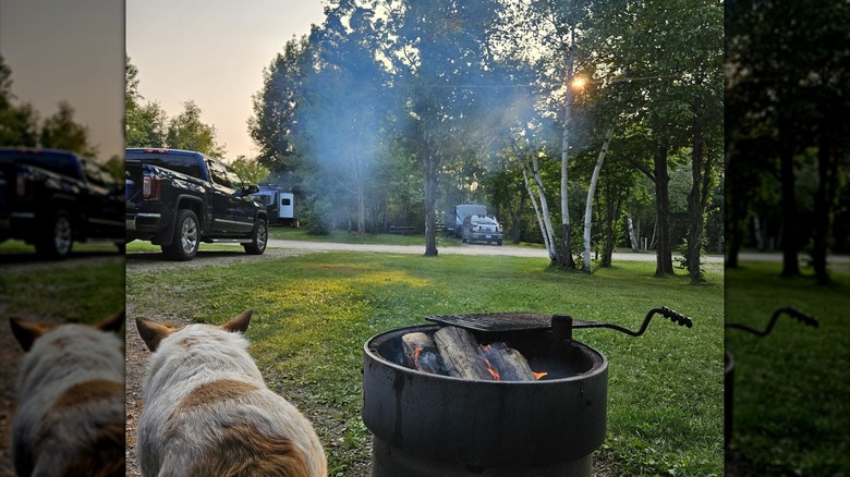 A dog and campfire in a fire pit at a campsite in La Salle Lake State Recreation Area, Minnesota