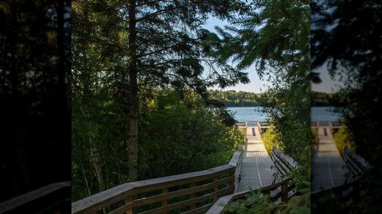Walkway through the trees to a fishing pier at La Salle Lake State Recreation Area
