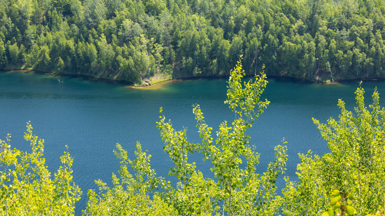 View from above of a blue lake surrounded by trees