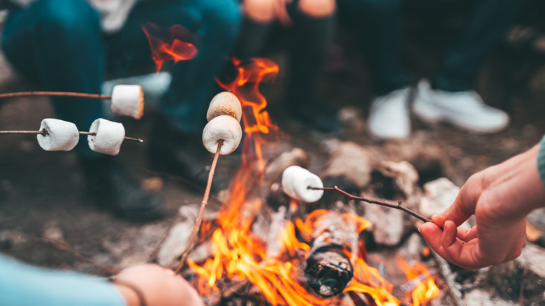 A group of people roast marshmallows around a fire
