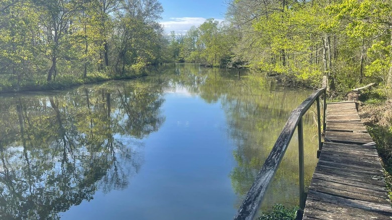 Lake in Percy Quin State Park