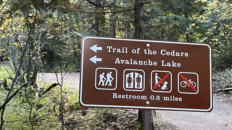 Sign pointing to trails near Avalanche Lake